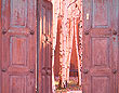 Mexican Antique Doors