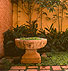 Mexican Courtyard Design